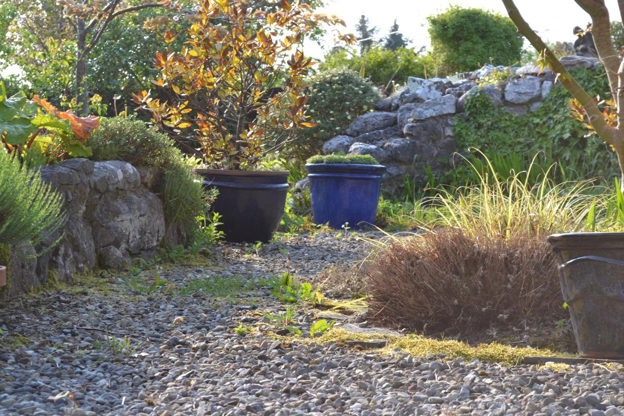 Wild Honey Inn Lisdoonvarna Luaran gambar