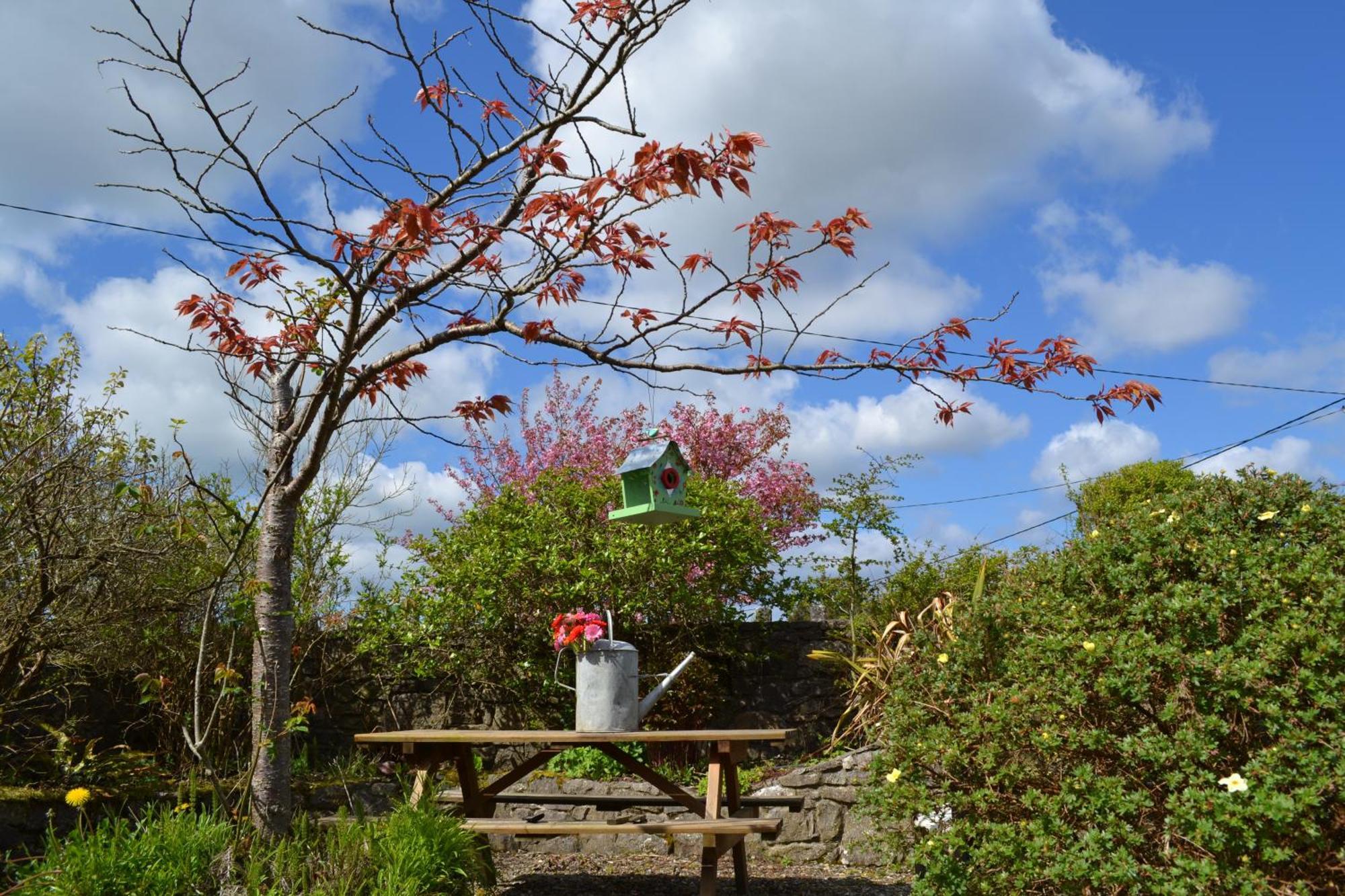 Wild Honey Inn Lisdoonvarna Luaran gambar