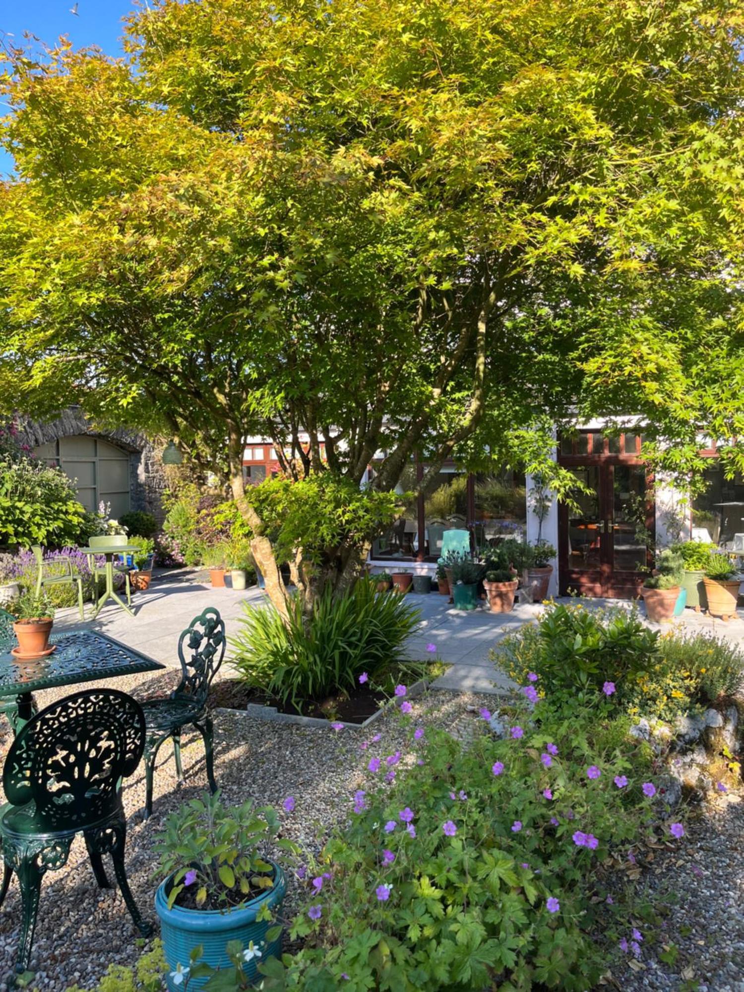 Wild Honey Inn Lisdoonvarna Luaran gambar
