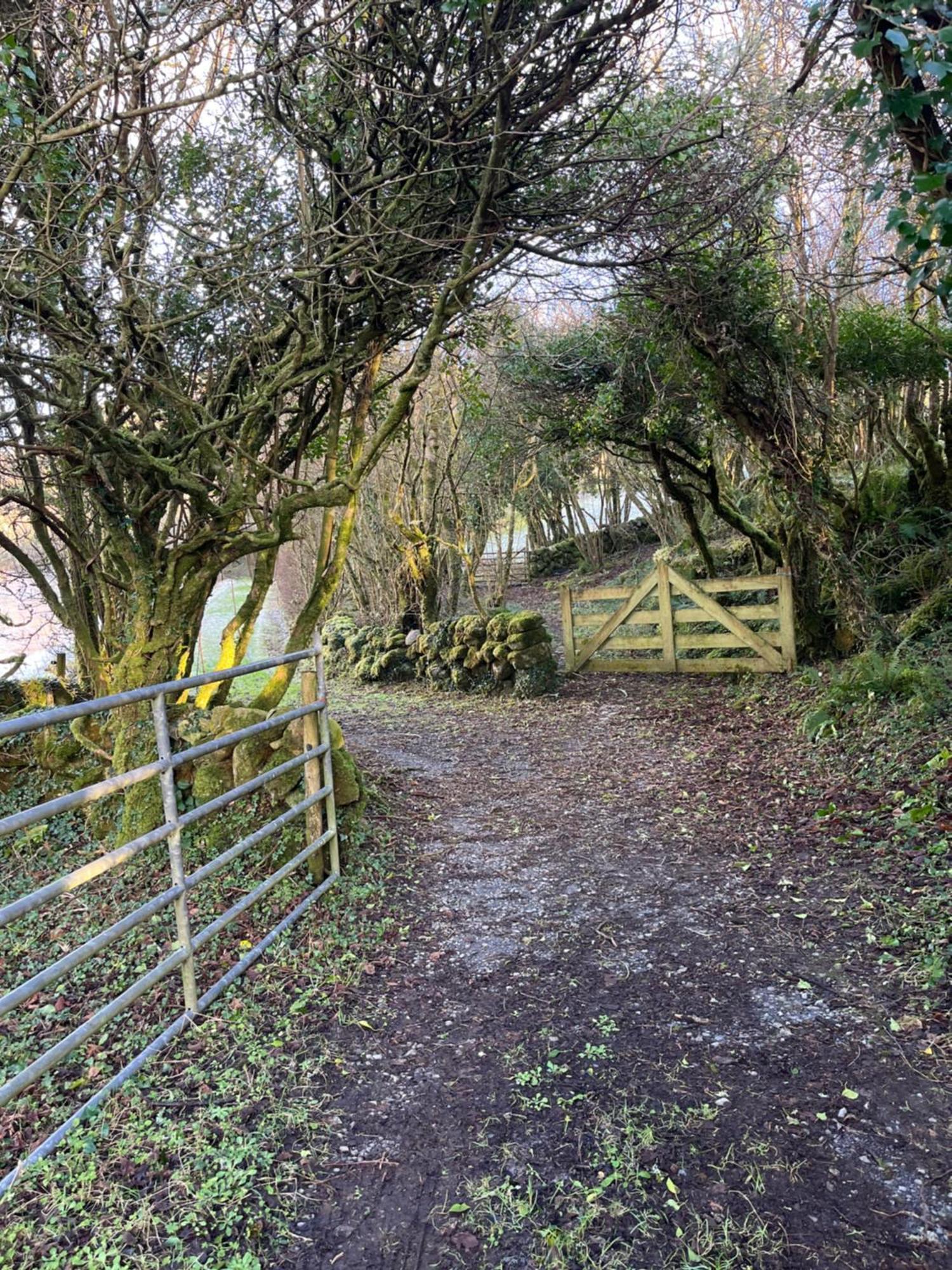 Wild Honey Inn Lisdoonvarna Luaran gambar