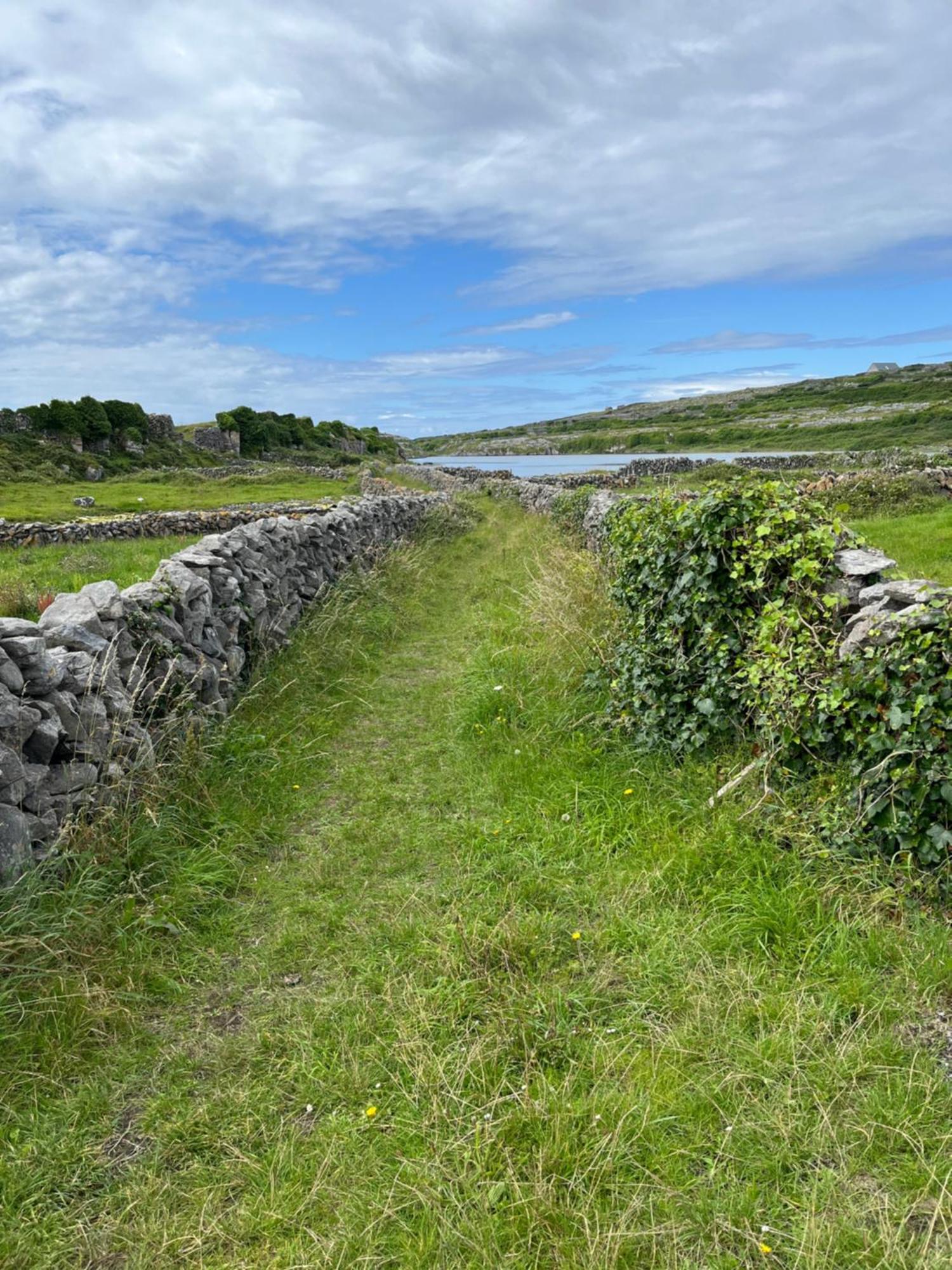 Wild Honey Inn Lisdoonvarna Luaran gambar